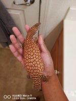 IMG_20170720_133634_1.jpg