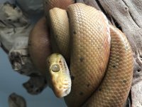 IMG_4144.jpg