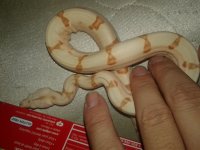 20170905_022835.jpg