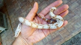 20170624_153704.jpg