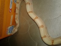 20170905_022756.jpg