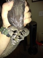 IMG_20170823_193936.jpg
