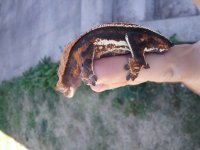 20170811_132938.jpg