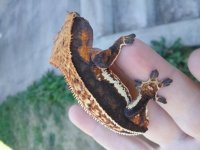 20170811_132949.jpg
