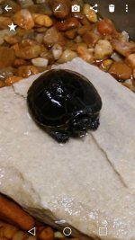 IMG_0348.jpg