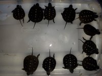 20170813_142939.jpg