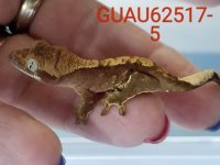 20170715number5.jpg