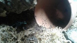 20170527_104503.jpg