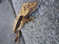 20170811_133725.jpg