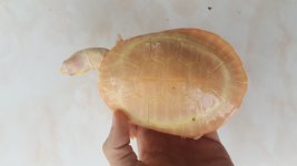 20170810_121632.jpg