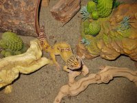 IMG_5839.jpg