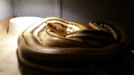20170312_155141.jpg
