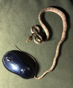 IMG_6871.jpg