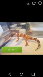 Screenshot_2017-09-27-20-09-31.png