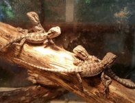 20170520_174400-1.jpg