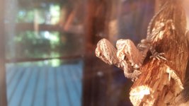 20170517_122254.jpg