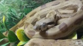20170430_212810_Burst01.jpg
