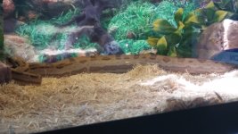20170507_120452.jpg