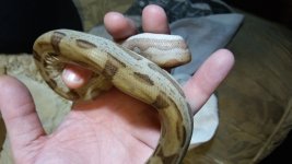 20170430_005011.jpg