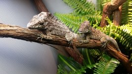 20170320_183926.jpg