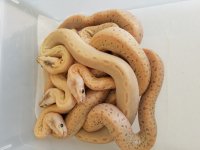 20170803_103922.jpg