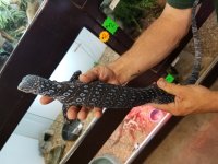 20170722_132007.jpg