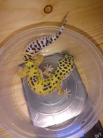 IMG_20170819_193337168.jpg