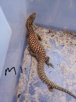 20170929_165623.jpg