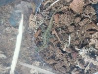 20170710_122819.jpg