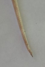 DSC01602.jpg