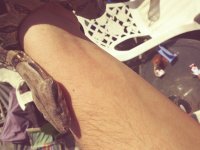 20170410_110829_Film4.jpg