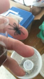 IMG_20170719_150136317.jpg