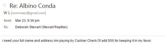 Scammer03.jpg