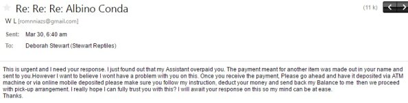 Scammer05.jpg