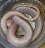 20170709_122404.jpg
