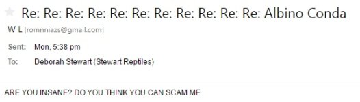 Scammer13.jpg