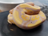 20170410_141436.jpg