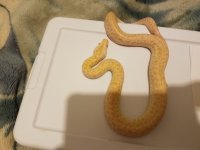 20170616_194638.jpg