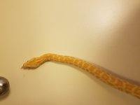 20170711_072516.jpg