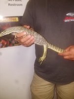 20170815_130010.jpg