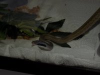 DSCN1151.jpg