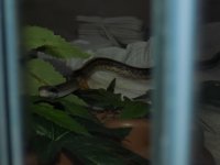 DSCN1164.jpg