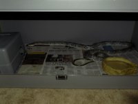 DSCN1153.jpg