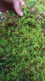 20170815_102603.jpg