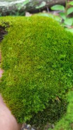20170815_102526.jpg