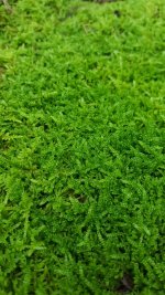 20170815_102454.jpg