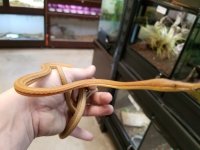 20170510_154559.jpg