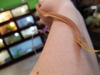20170510_154626.jpg