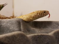 20170510_154845.jpg
