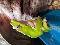 20170510_162334.jpg